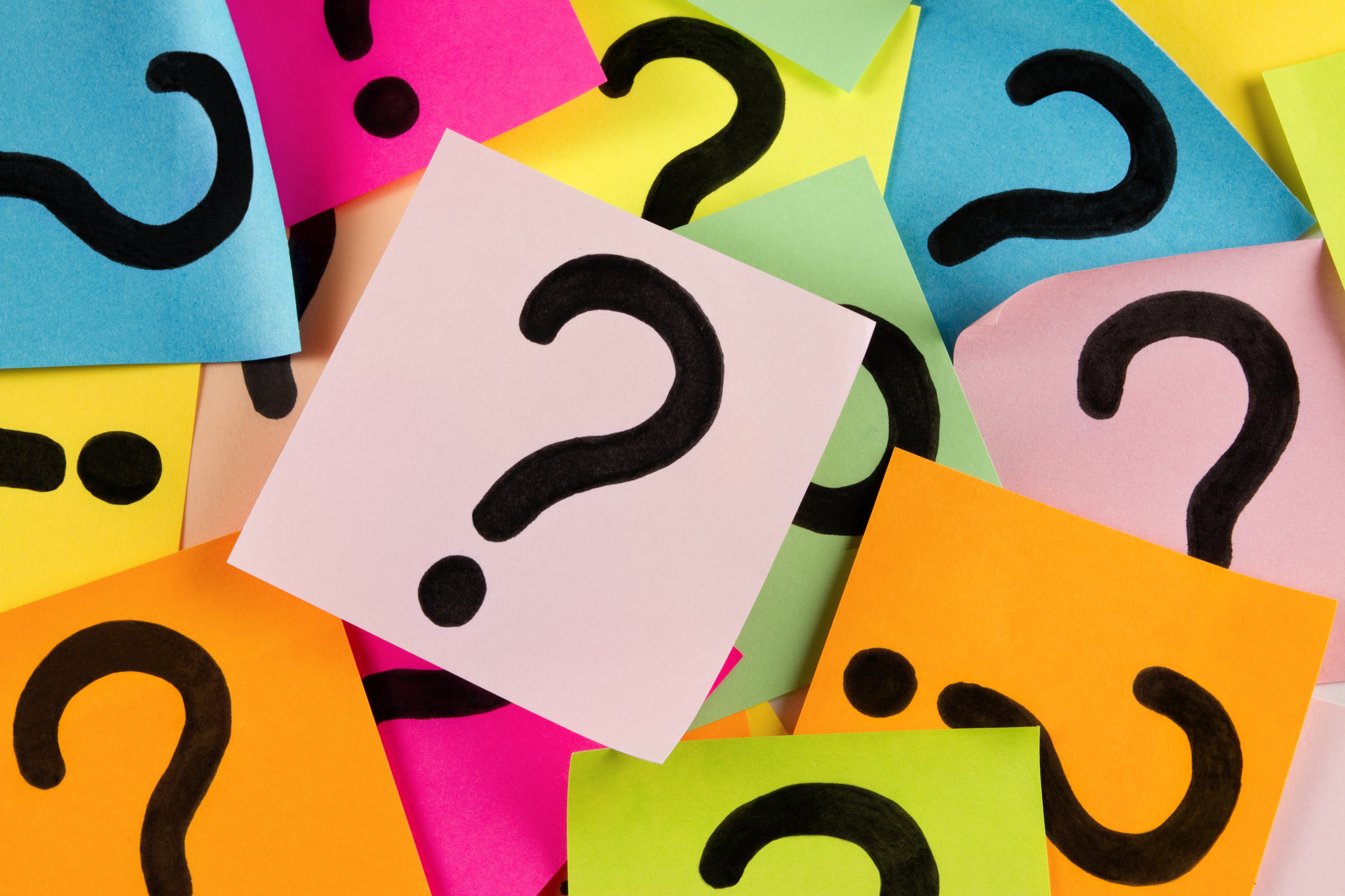 Harbord Diggers Weekly Trivia Northern Beaches Living