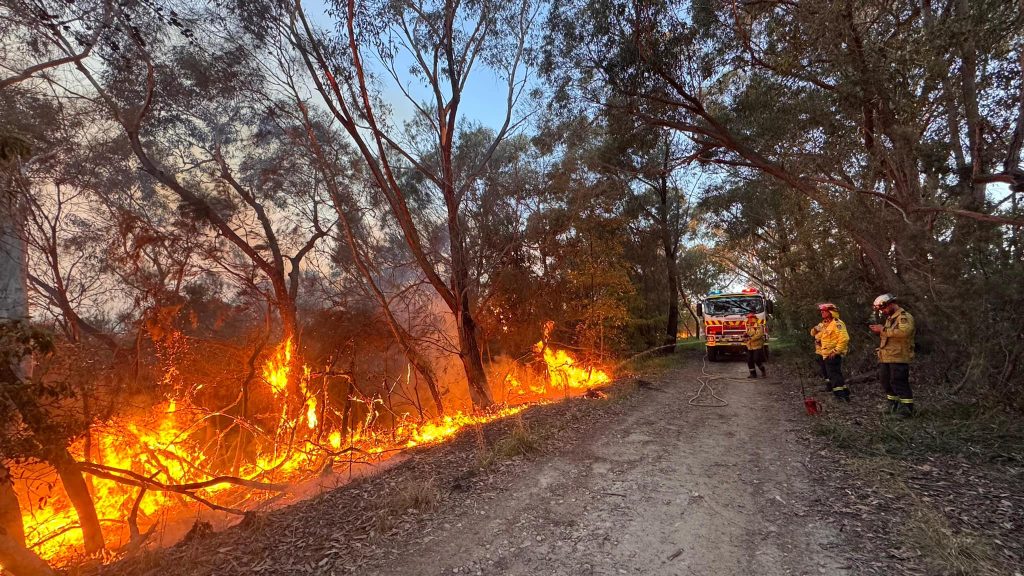 Bushfire Season: What To Do When It's Too Late To Leave